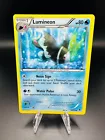 Lumineon