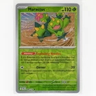 Maractus
