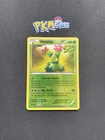 Maractus