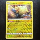 Mareep