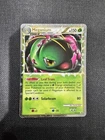 Meganium Tin