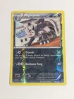 Mightyena
