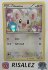 Minccino