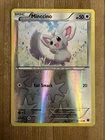 Minccino