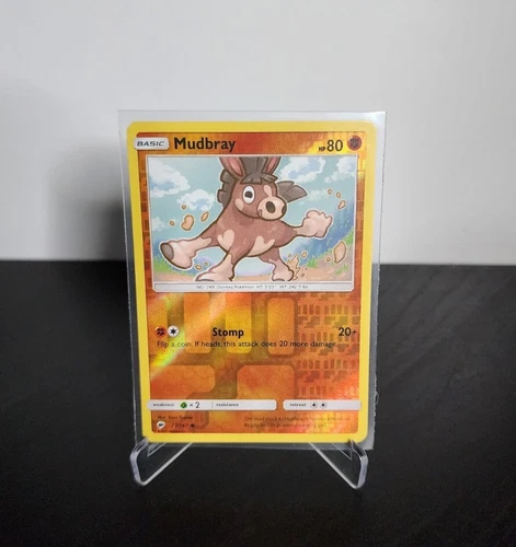 Mudbray