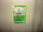 Ninjask