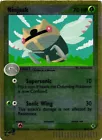 Ninjask