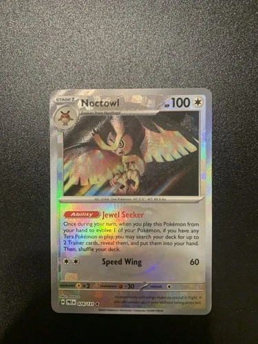 Noctowl