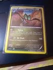 Noivern