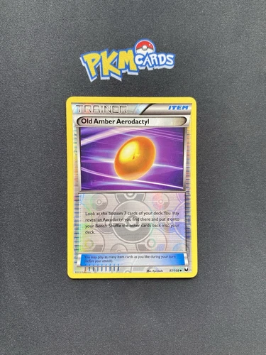 Old Amber Aerodactyl