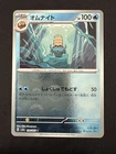 Omanyte