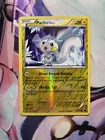 Pachirisu