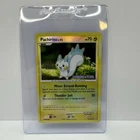 Pachirisu