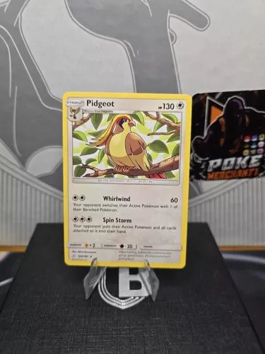 Pidgeot