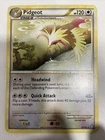 Pidgeot