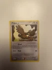 Pidgey