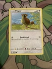 Pidgey