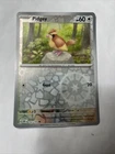 Pidgey