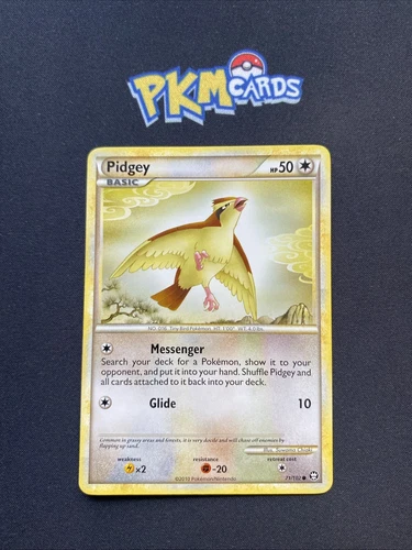 Pidgey