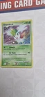 Shaymin