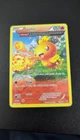 Torchic