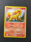 Ponyta