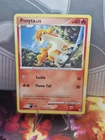 Ponyta