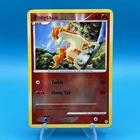 Ponyta