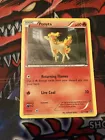 Ponyta