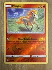 Ponyta