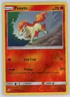 Ponyta
