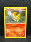 Ponyta