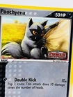 Poochyena