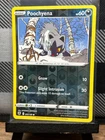 Poochyena