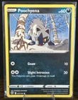 Poochyena