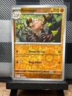 Primeape