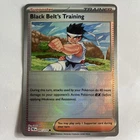 Black Belt's Training