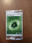 Lightning Energy Professor Program