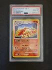 Rapidash