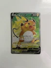 Raichu V