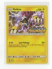 Raikou