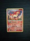 Rapidash