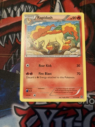Rapidash