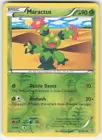 Maractus