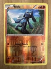 Riolu