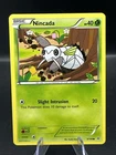 Nincada