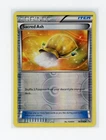 Sacred Ash