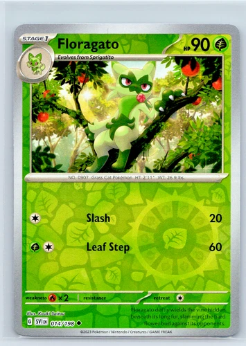 Floragato