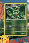 Sceptile