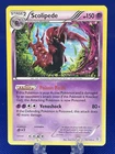 Scolipede